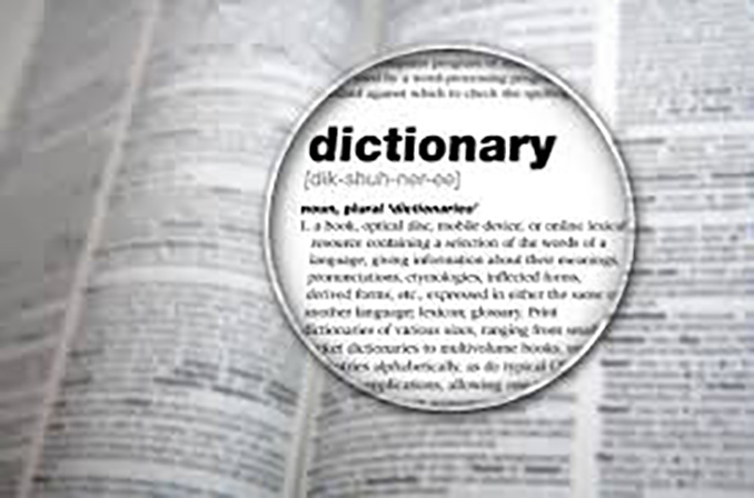 لغت نامه ی فناوری اطلاعات شرکت پاراکس